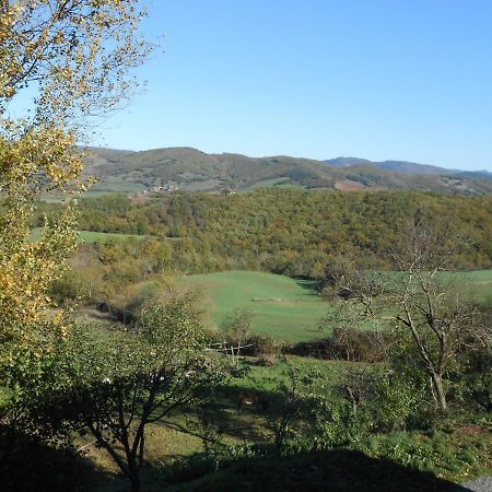 Chambre D'Hotes Des Monts Saint-Izaire Buitenkant foto