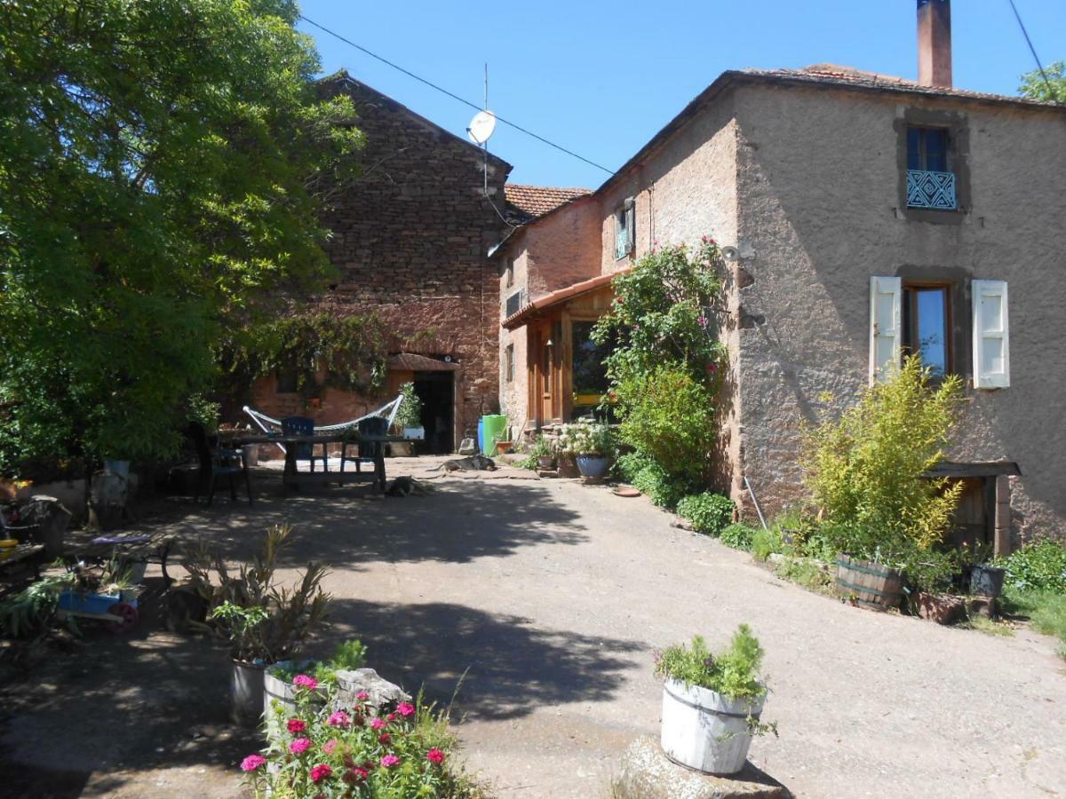 Chambre D'Hotes Des Monts Saint-Izaire Buitenkant foto