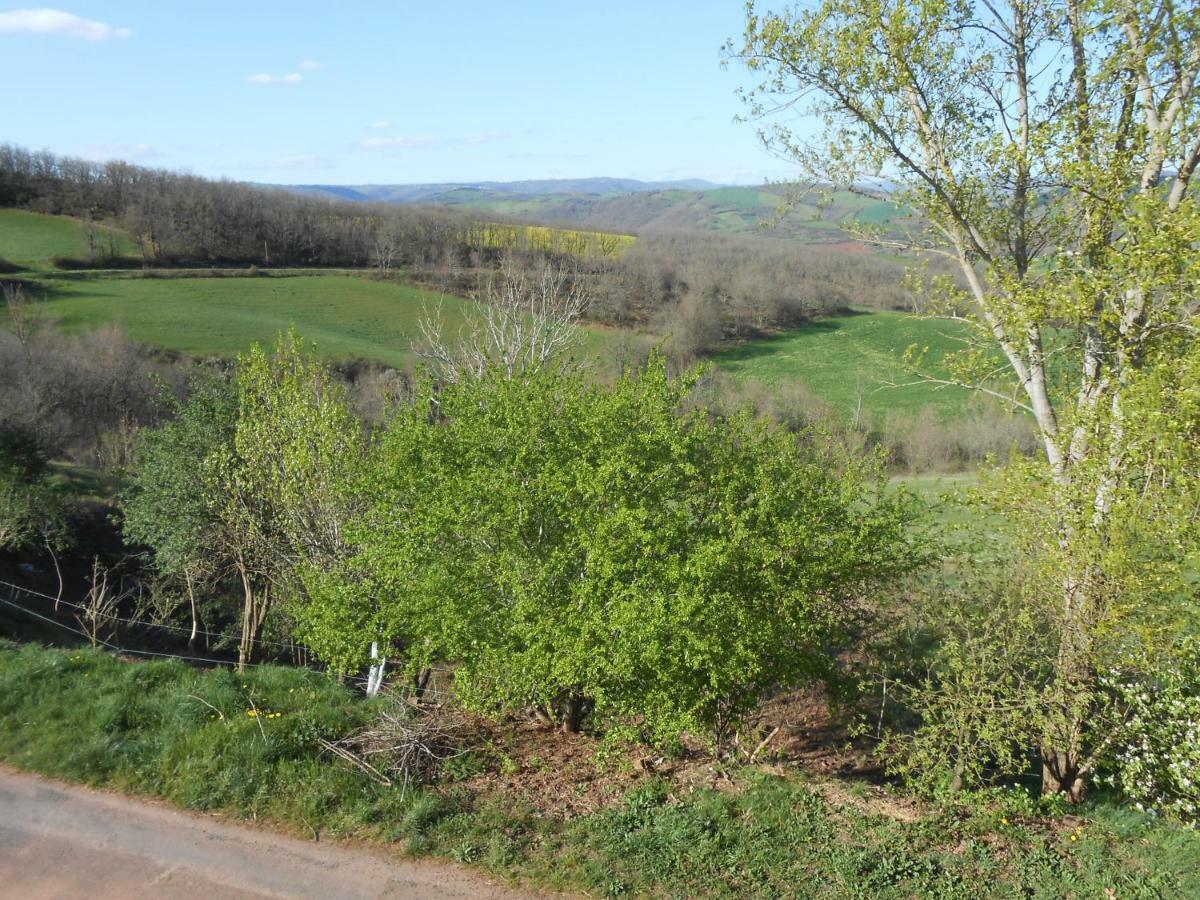 Chambre D'Hotes Des Monts Saint-Izaire Buitenkant foto